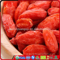 Promoção de vendas goji berry durante a gravidez goji berry consumo diário goji berry digestão Pure natural